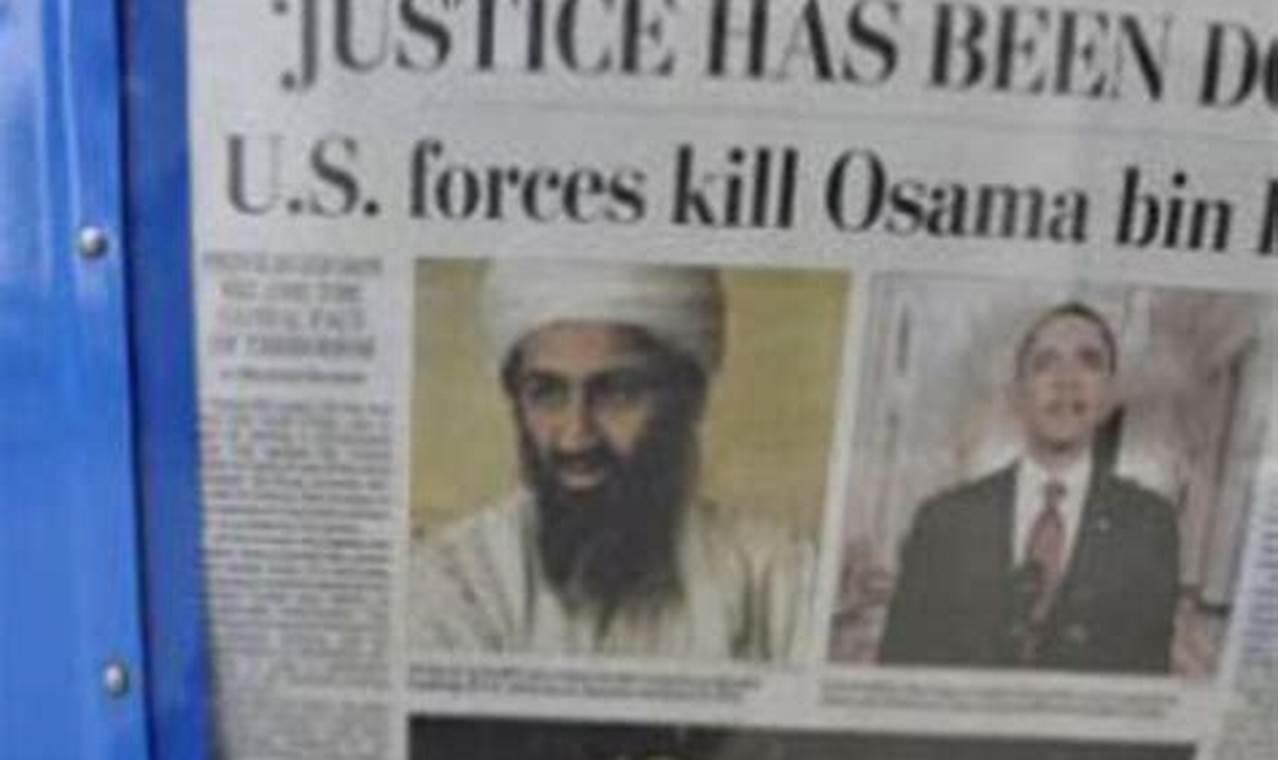 who killed osama bin laden book
