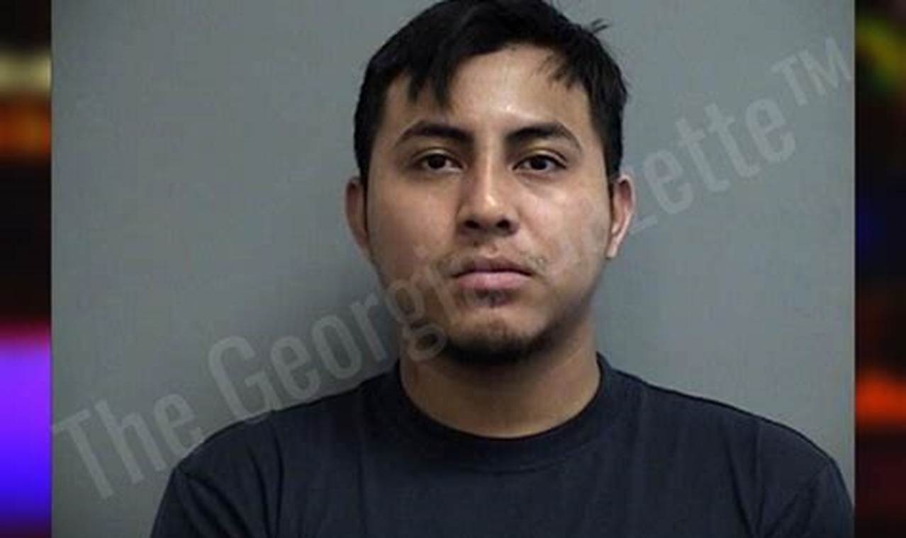 effingham county jail bookings