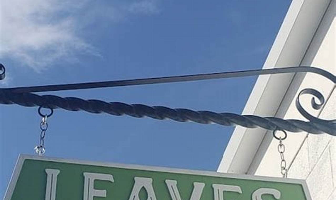 leaves book and tea shop