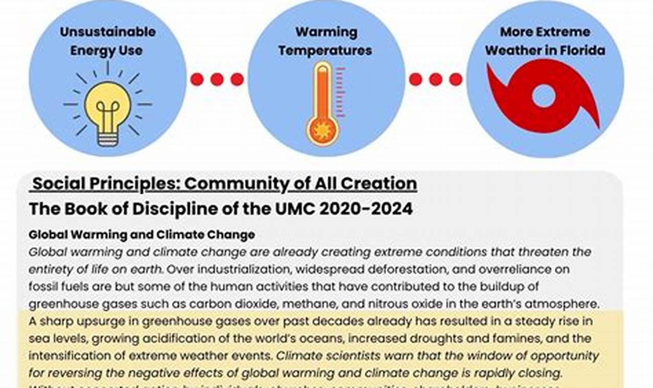 umc book of discipline